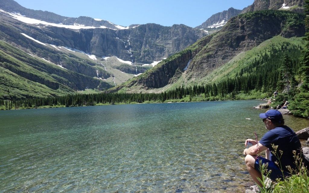 Meeting Moose at Swiftcurrent Pass