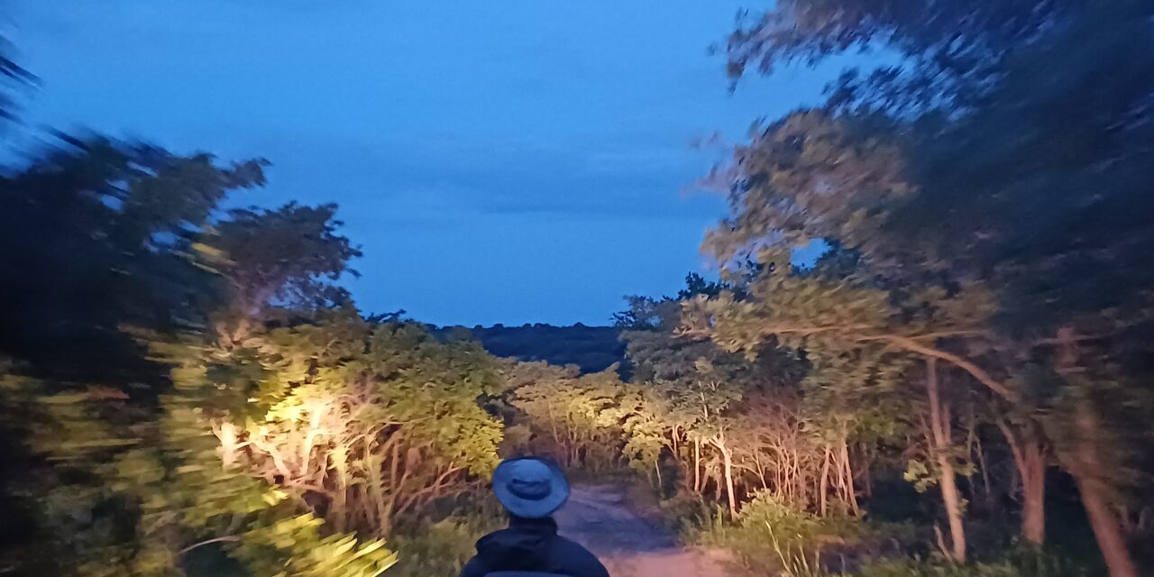 Up Close and Personal in Idube