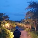 Up Close and Personal in Idube