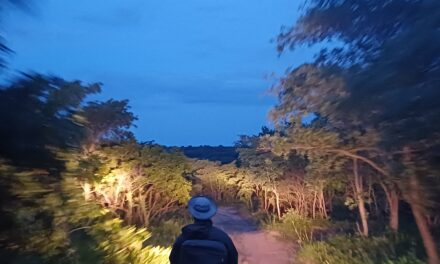 Up Close and Personal in Idube