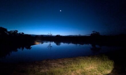 Welcome To Kruger National Park
