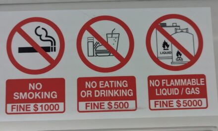 Singapore’s Intolerance of Crime