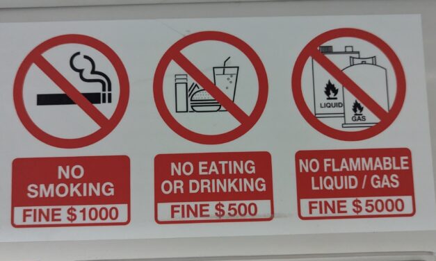 Singapore’s Intolerance of Crime