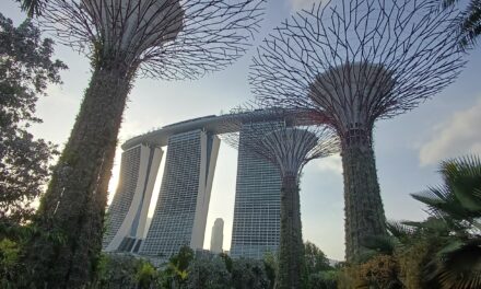 Welcome To Singapore