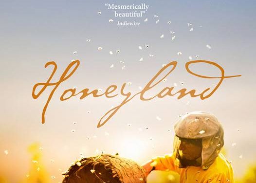 Honeyland – “Warts & All” documentary making at its finest