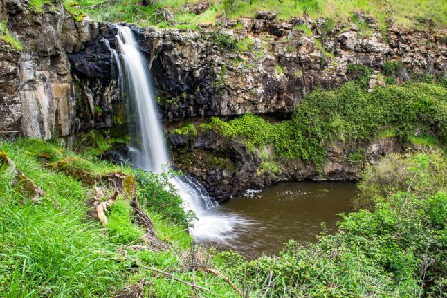 Ballarat’s Own Kakadu